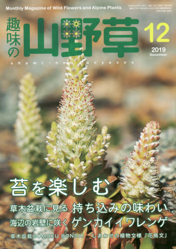 JAN 4910045111295 趣味の山野草 2019年 12月号 雑誌 /栃の葉書房 本・雑誌・コミック 画像