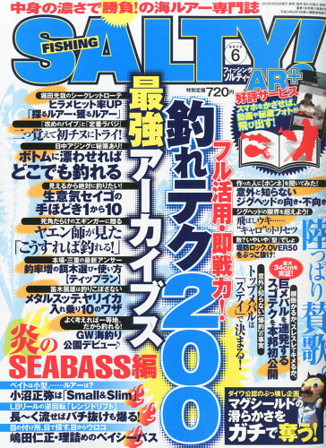 JAN 4910058850631 Salty! (ソルティ) 2013年 06月号 [雑誌]/交通タイムス社 本・雑誌・コミック 画像