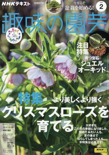 JAN 4910064570240 NHK 趣味の園芸 2014年 02月号 雑誌 /NHK出版 本・雑誌・コミック 画像