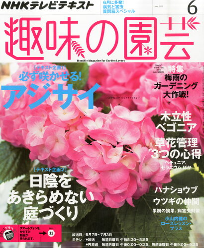 JAN 4910064570653 NHK 趣味の園芸 2015年 06月号 雑誌 /NHK出版 本・雑誌・コミック 画像