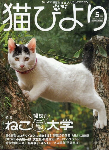 JAN 4910072470525 猫びより 2022年 05月号 雑誌 /辰巳出版 本・雑誌・コミック 画像