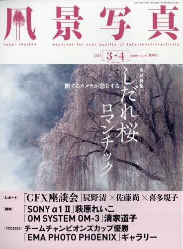 JAN 4910078930351 風景写真 2015年 03月号 雑誌 /ブティック社 本・雑誌・コミック 画像