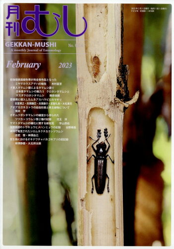 JAN 4910085150230 月刊 むし 2023年 02月号 [雑誌]/むし社 本・雑誌・コミック 画像