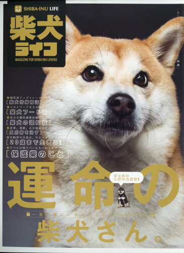 JAN 4910115800203 一個人別冊 柴犬ライフ VOL.2 2020年 02月号 雑誌 /ベストセラーズ 本・雑誌・コミック 画像