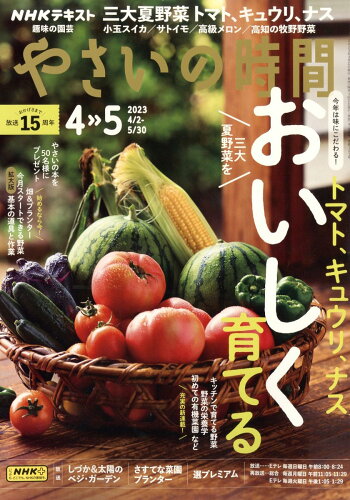 JAN 4910165010430 NHK 趣味の園芸 やさいの時間 2013年 04月号 雑誌 /NHK出版 本・雑誌・コミック 画像