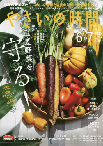 JAN 4910165010607 NHK 趣味の園芸 やさいの時間 2020年 06月号 雑誌 /NHK出版 本・雑誌・コミック 画像