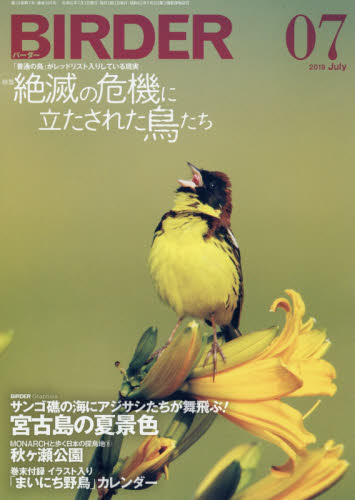 JAN 4910175450790 BIRDER (バーダー) 2019年 07月号 雑誌 /文一総合出版 本・雑誌・コミック 画像