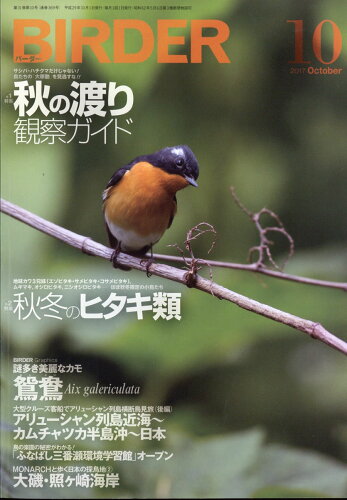 JAN 4910175451070 BIRDER (バーダー) 2017年 10月号 [雑誌]/文一総合出版 本・雑誌・コミック 画像