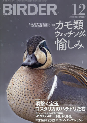 JAN 4910175451209 BIRDER (バーダー) 2020年 12月号 雑誌 /文一総合出版 本・雑誌・コミック 画像