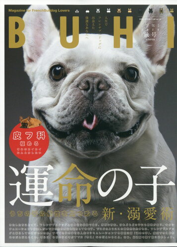 JAN 4910177691108 BUHI (ブヒ) 2020年 11月号 雑誌 /オークラ出版 本・雑誌・コミック 画像