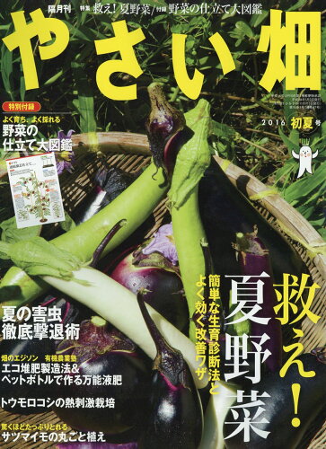 JAN 4910188050666 やさい畑 2016年 06月号 雑誌 /家の光協会 本・雑誌・コミック 画像