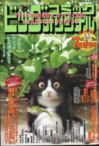 JAN 4910274760776 巻頭C新連載:君の大声を聞いたことがない 2017年 7/12号 雑誌 /小学館 本・雑誌・コミック 画像