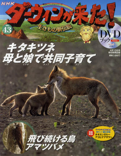 JAN 4910282520423 ダーウィンが来た!生きもの新伝説DVDブック 2012年 4/10号 (分冊百科) - 朝日新聞出版 - 清原真一 本・雑誌・コミック 画像