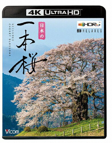 JAN 4932323571249 ビコム　4K　Relaxes　日本の一本桜【4K・HDR】/Ｕｌｔｒａ　ＨＤ　Ｂｌｕ−ｒａｙ/VUB-5712 ビコム株式会社 CD・DVD 画像