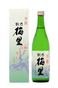 JAN 4933810320029 越乃梅里 吟醸 火入酒 箱 720ml 株式会社DHC酒造 日本酒・焼酎 画像