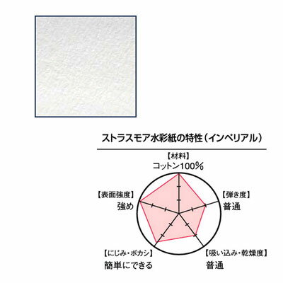 JAN 4938331238563 ホルベイン画材 カット判 ストラスモア  細目 1/8 ホルベイン画材株式会社 日用品雑貨・文房具・手芸 画像