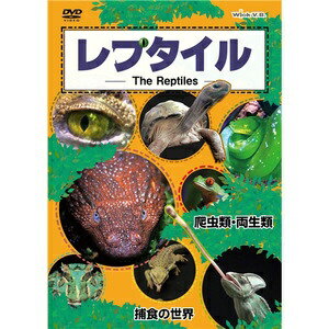 JAN 4938966006063 レプタイルDVD 世界の爬虫類、両生類。捕食の世界。/ WVD-349 株式会社ウィック・ビジュアル・ビューロウ CD・DVD 画像