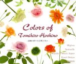 JAN 4939323487341 Colors of Tomihiro Hoshino アルバム WLPLC-48734 いのちのことば社 CD・DVD 画像
