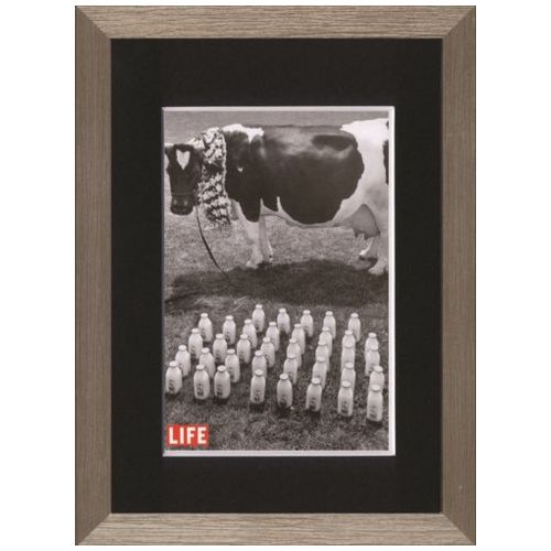 JAN 4941567604569 LIFE インテリア アート モノクロ フォト ART A Cow with Her Milk 美工社 壁掛け 額付き白黒写真 株式会社美工社 ホビー 画像