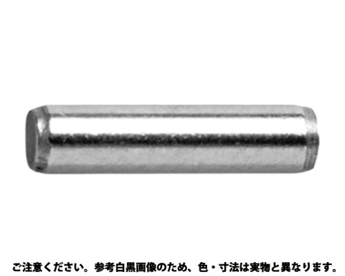 JAN 4942131356365 サンコーインダストリー S45C-Q平行ピン B種・姫野 20 X 140 サンコーインダストリー株式会社 花・ガーデン・DIY 画像