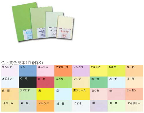 JAN 4943718300535 ミューズ 色上質 厚口 A4 アイボリー 株式会社ミューズ 日用品雑貨・文房具・手芸 画像