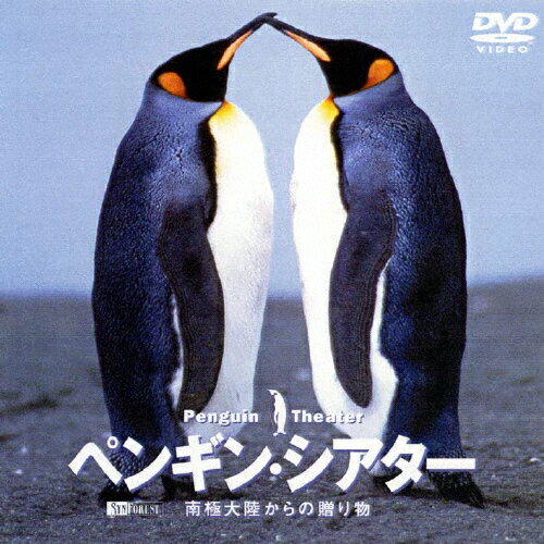 JAN 4945977200380 ペンギン・シアター　南極大陸からの贈り物/ＤＶＤ/SDA-24 株式会社シンフォレスト CD・DVD 画像