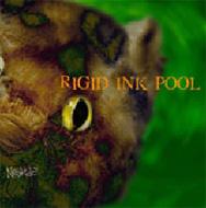 JAN 4948722089155 RIGID INK POOL/CD/FLC-3D ダイキサウンド株式会社 CD・DVD 画像