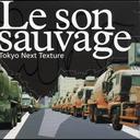 JAN 4948722177333 Le　son　sauvage/ＣＤ/EWBE-14 ダイキサウンド株式会社 CD・DVD 画像