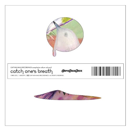 JAN 4948722389019 catch one’s breath/CD/CHRS-20 ダイキサウンド株式会社 CD・DVD 画像