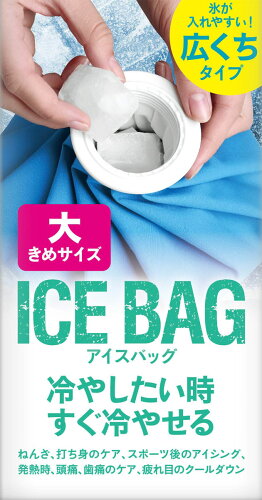 JAN 4949176099677 ICE BAG 大きめサイズ(1個) 株式会社東京企画販売 ダイエット・健康 画像