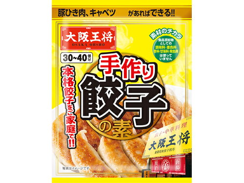 JAN 4954018454057 イートアンドフーズ 大阪王将 手作り餃子の素B 65.4g 株式会社イートアンドフーズ 食品 画像