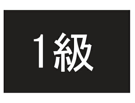 JAN 4956994114338 フットマーク 101702 級マーク 1 フットマーク株式会社 スポーツ・アウトドア 画像