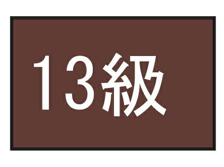 JAN 4956994114451 フットマーク 101702 級マーク 13 フットマーク株式会社 スポーツ・アウトドア 画像