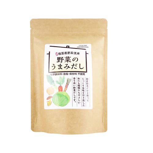 JAN 4958132007410 野菜のうまみだし(100g) 宝山九州株式会社 食品 画像