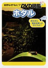 JAN 4959093771853 自然なぜなに？ DVD図鑑 ホタル 株式会社アスク出版 CD・DVD 画像