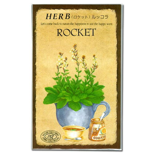 JAN 4964545008128 ハーブ HERB (ロケット)ルッコラ 品番:812 日光種苗株式会社 花・ガーデン・DIY 画像