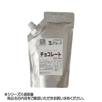 JAN 4969849080290 宮下製氷冷蔵 生シロップ チョコレート 600g 宮下製氷冷藏株式会社 スイーツ・お菓子 画像