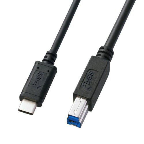 JAN 4969887761045 サンワサプライ USB3.1Gen2TypeC-Bケーブル KU31-CB10 サンワサプライ株式会社 パソコン・周辺機器 画像