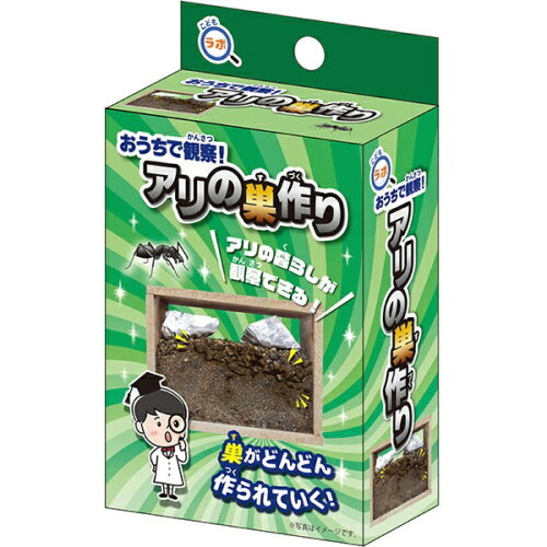 JAN 4970093000828 おうちで観察!アリの巣作り 820 株式会社池田工業社 おもちゃ 画像