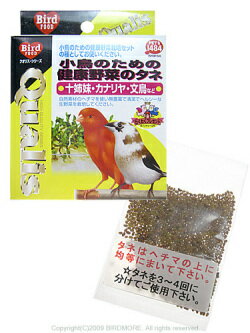 JAN 4970620011280 クオリス 小鳥のための健康野菜のタネ 20g 株式会社ペッズ・イシバシ ペット・ペットグッズ 画像