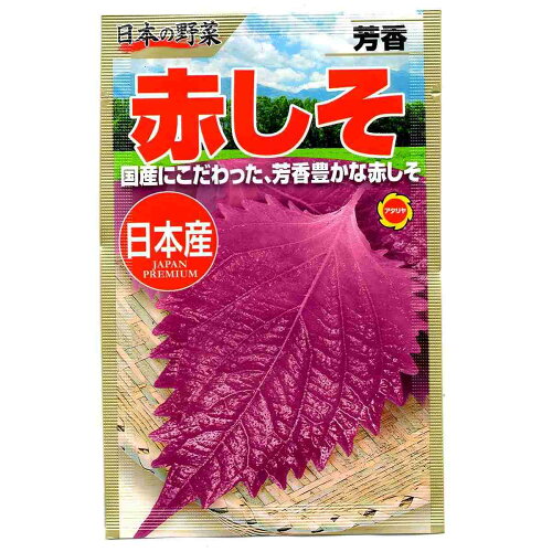 JAN 4971374525092 アタリヤ農園 日本の野菜 芳香あかしそ 株式会社アタリヤ農園 花・ガーデン・DIY 画像