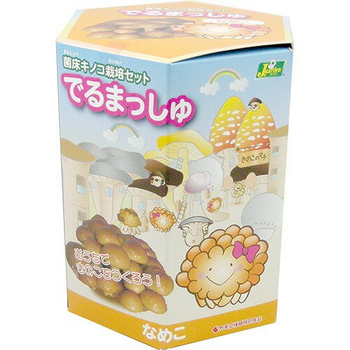 JAN 4971852642150 菌床キノコ栽培セット でるまっしゅ なめこ(1セット) カネコ種苗株式会社 花・ガーデン・DIY 画像