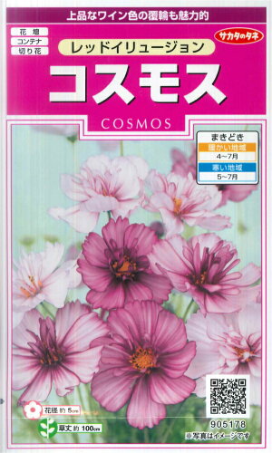 JAN 4974449051786 サカタのタネ 種子 コスモス レッドイリュージョン 株式会社サカタのタネ 花・ガーデン・DIY 画像