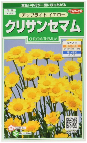 JAN 4974449063086  クリサンセマム アップライトイエロー サカタのタネ   半耐寒性一年草  株式会社サカタのタネ 花・ガーデン・DIY 画像