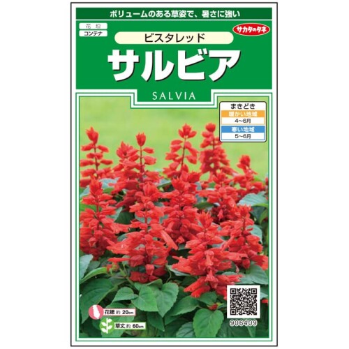 JAN 4974449064090 サカタのタネ｜SAKATA SEED CORPORATION 実咲 サルビア ビスタレッド 株式会社サカタのタネ 花・ガーデン・DIY 画像