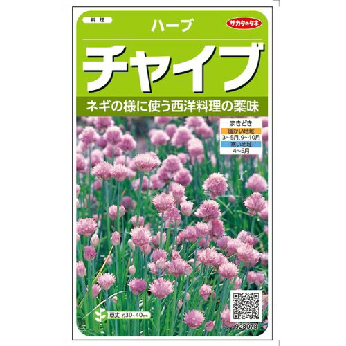 JAN 4974449280780 サカタのタネ 実咲ハーブ8078 チャイブ ハーブ 00928078 株式会社サカタのタネ 花・ガーデン・DIY 画像