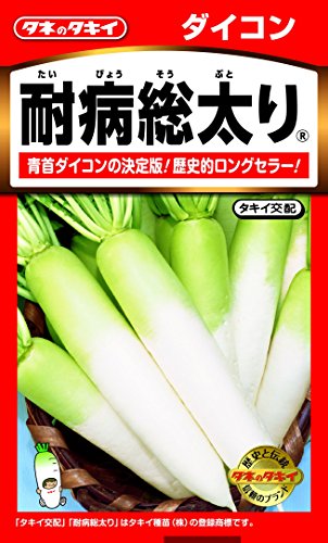 JAN 4974650004953 タキイ種苗 ダイコン 耐病総太り お徳用パック ada02w  タキイ種苗株式会社 花・ガーデン・DIY 画像