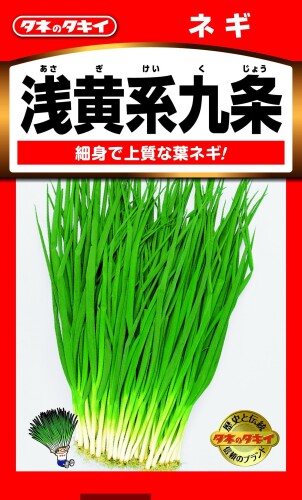 JAN 4974650010954 タキイ種苗 ネギ 浅黄系九条  ane102  り タキイ種苗株式会社 花・ガーデン・DIY 画像