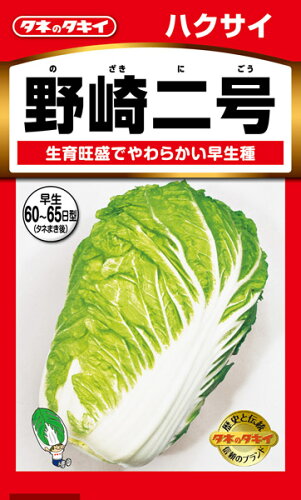 JAN 4974650012859 タキイ種苗はくさい 野崎ニ号 タキイ種苗株式会社 花・ガーデン・DIY 画像