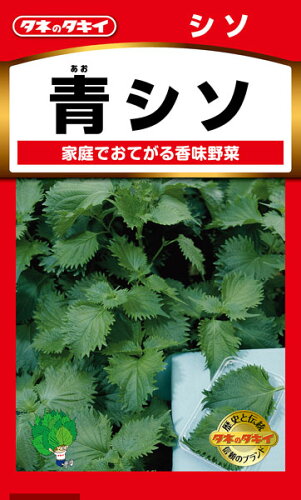 JAN 4974650022056 タキイ種苗 シソ 青シソ  aty132  り タキイ種苗株式会社 花・ガーデン・DIY 画像